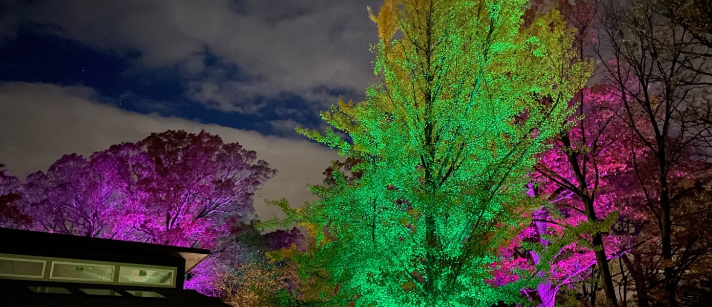 outdoor lighting installer in Crystal Lake, IL